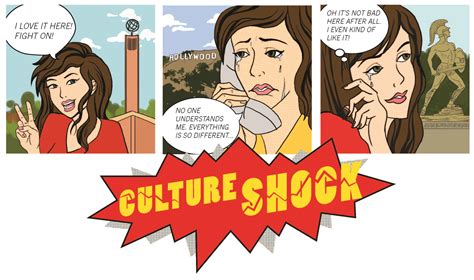 Nasty and Noble Truth about Culture Shock Cultural Detective Blog