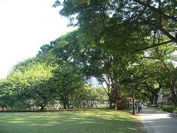 Esplanade Park - 4 Things to Know Before Visiting | Travalour