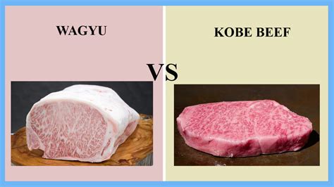 raggio Sono depressi inavvertitamente kobe beef wagyu difference dietro ...