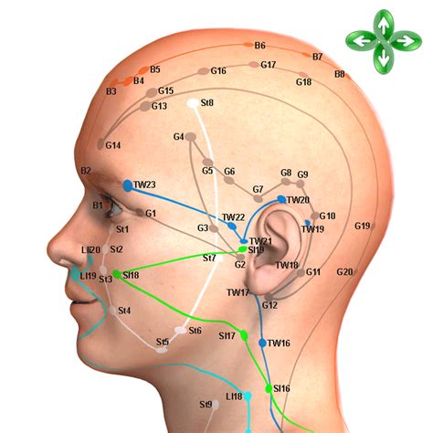 ko-seite.png 650×650 pixels | Acupressure treatment, Acupressure, Shiatsu massage