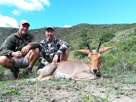 Hunting Mountain Reedbuck