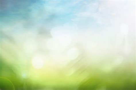 917 Background Nature Blur Images & Pictures - MyWeb