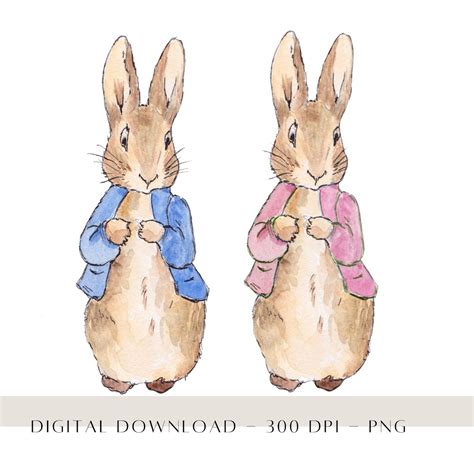 Flopsy Bunny PNG, Peter Rabbit Clip Art, Peter Rabbit Sublimation Design, Peter Rabbit Family ...