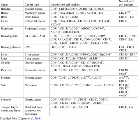 Cancer stem cell surface markers and normal tissue stem cell surface ...