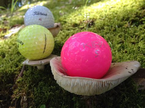 Free Images : grass, play, mushroom, colorful, golf ball, woods 3264x2448 - - 552399 - Free ...