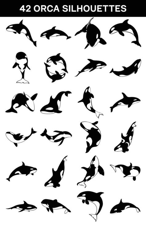 Set of orca whale silhouette. killer whale collection 28209143 Vector ...