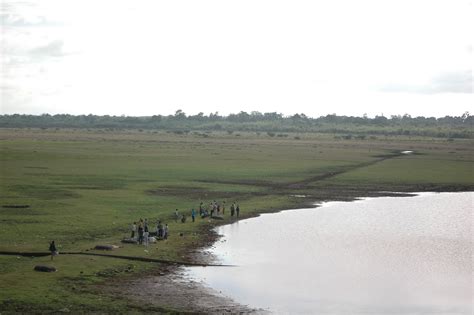 The Silent One: Hesaraghatta Lake