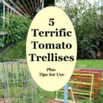 5+ Terrific Tomato Trellis Ideas for Easy Harvesting