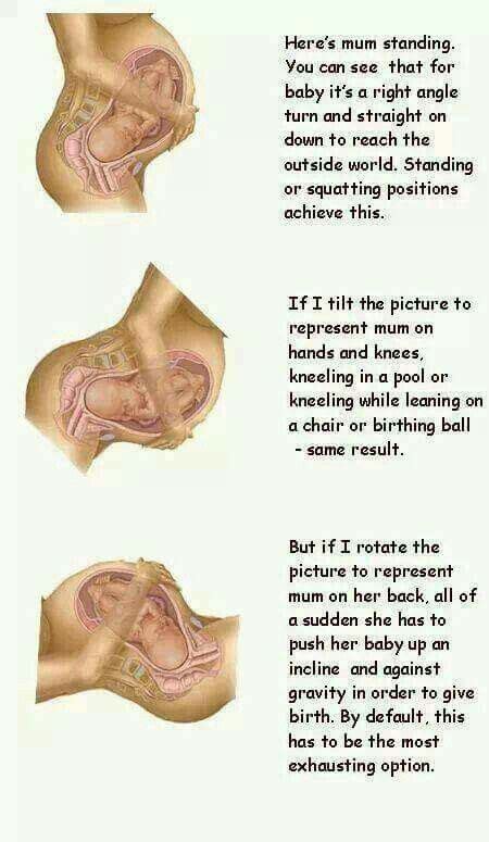 Pin on Pregnancy and child birth