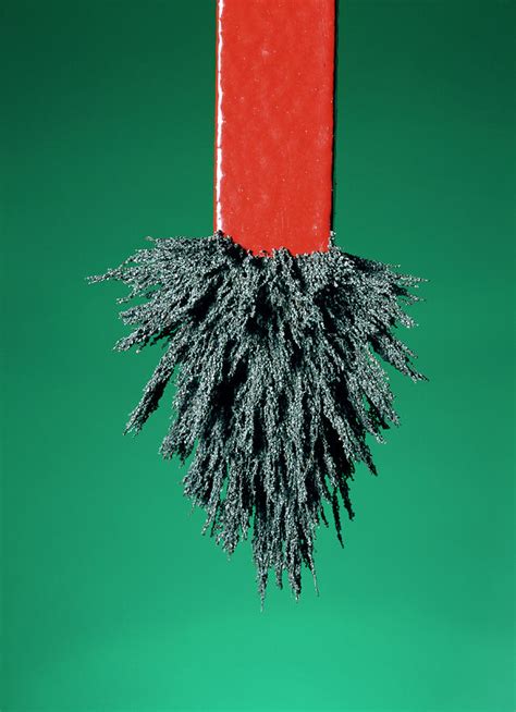 Iron Filings With A Magnet Photograph by Cordelia Molloy/science Photo Library