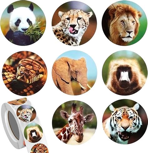 500 Pcs Zoo Animals Stickers for Kids Age 2-6, 1 Inch Round Jungle Wild ...