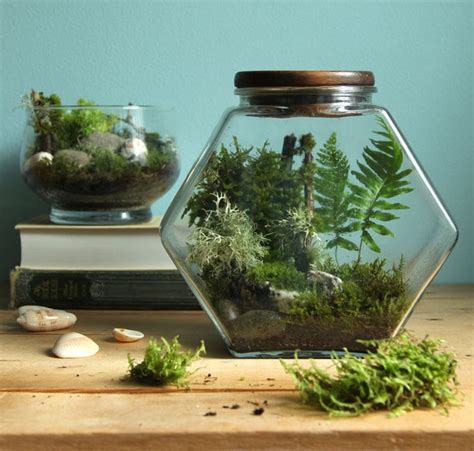 Beautiful DIY Terrarium in 3 Easy Steps {NO Care for 3 Months!} - A ...