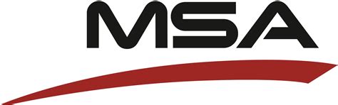 | www.msaincorp.com