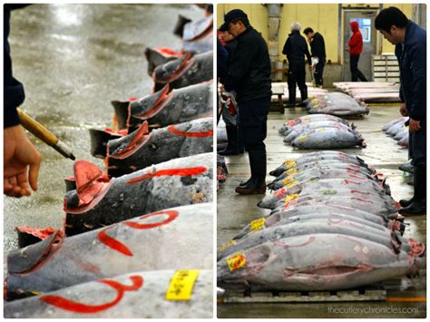 JAPAN | Tsukiji fish market tuna auction - 10 FAQ's answered • The Cutlery Chronicles