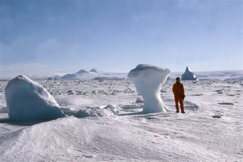 Icebergs in Antarctica