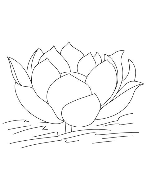 Free Printable Lotus Coloring Pages For Kids