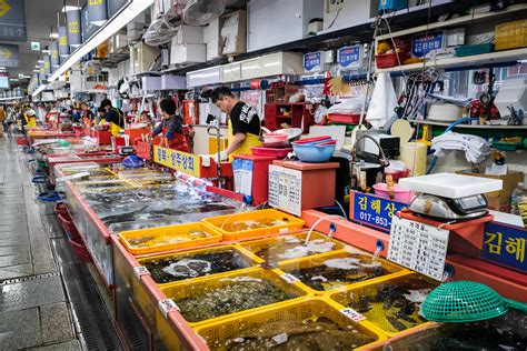 Jagalchi Market – A Seafood Lovers' Dream Come True at this Popular Seafood Market in Busan ...