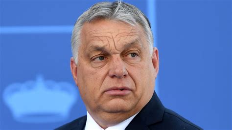 Hungary PM Viktor Orban criticises 'mixing' of Europeans and non ...