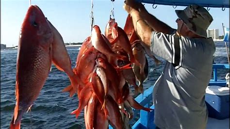 Deep Sea Fishing On The Gulf - YouTube