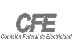 CFE-vector-logo copia | Anexa BPO