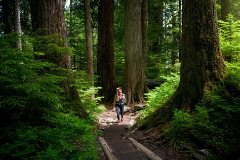 Beginner Hikes in Washington: 11 Incredible Spots - Renee Roaming