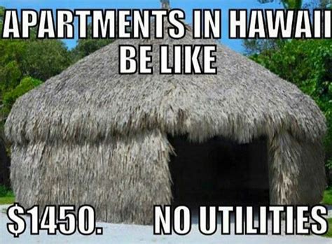 Hilarious Hawai‘i Memes That are Too Real for Locals | Hilarious, Dating humor quotes, Memes