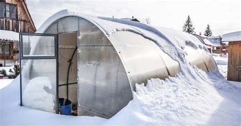 Winter Greenhouse Growing - Which Vegetables To Grow