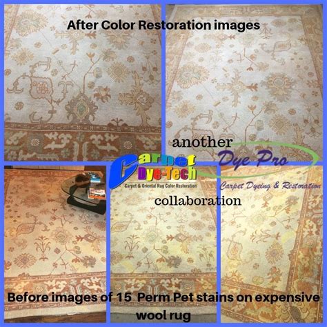 Rug Dyeing & Color Restoration Gallery - Carpet Dye-Tech