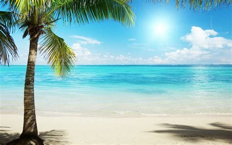Tropical Backgrounds Image - Wallpaper Cave