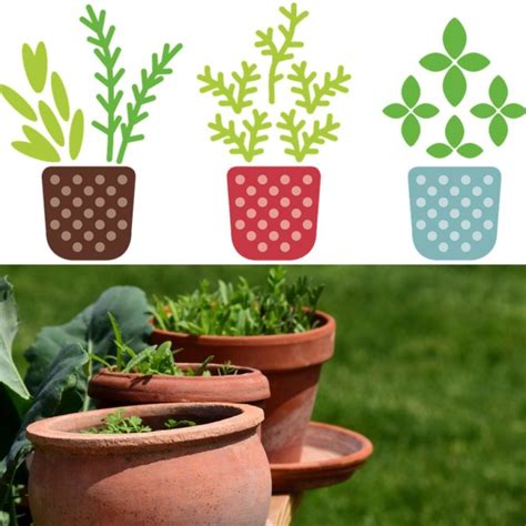 Container Gardening for Herbs - A Full Guide | Gardening Tips