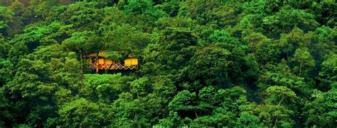 Vythiri Tree House -Lakkidi | Wayanad | Kerala | India