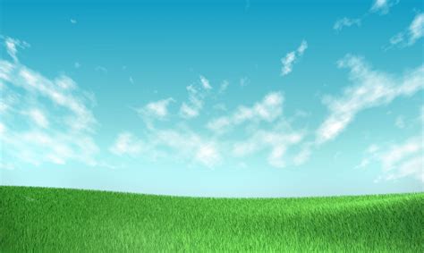 Grass and Sky Wallpaper (71+ images)