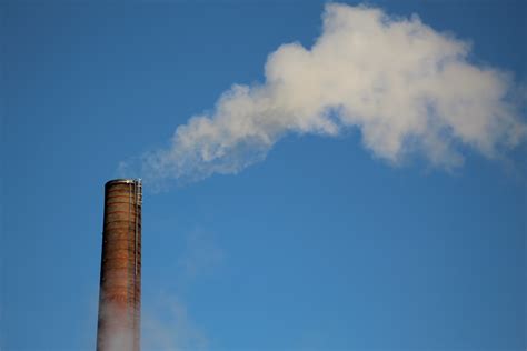 Carbon Dioxide Effects On Humans And The Environment | Eco Jungle