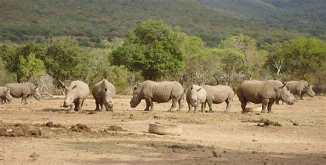 Yankari National Park – Nigeria Travel Guide