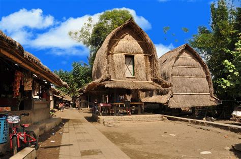 Gambar Mewarnai Rumah Adat Sasak Sade Lombok Java - IMAGESEE