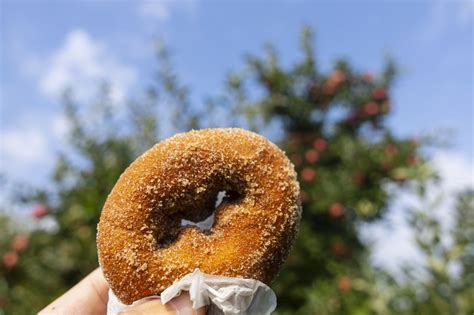 Vote here for the best farm or orchard to get fresh-baked fall donuts ...