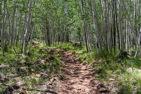 Historical Hiking Trails in Flagstaff