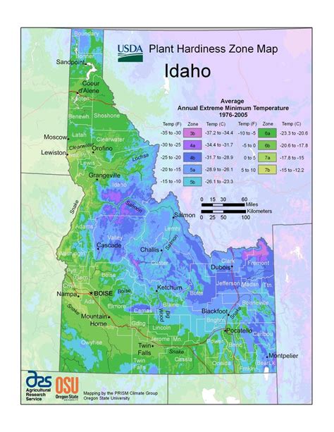 Planting zones map, Plant hardiness zone map, Plant hardiness zone