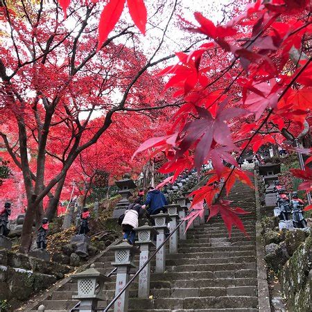 Oyama Afuri Shrine, Isehara - TripAdvisor