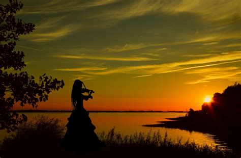 Free Images : violinist, sunset, violin, woman, adult, classic ...