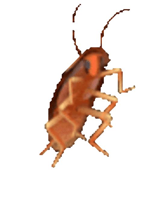 Dancing Roach Insect GIF | GIFDB.com