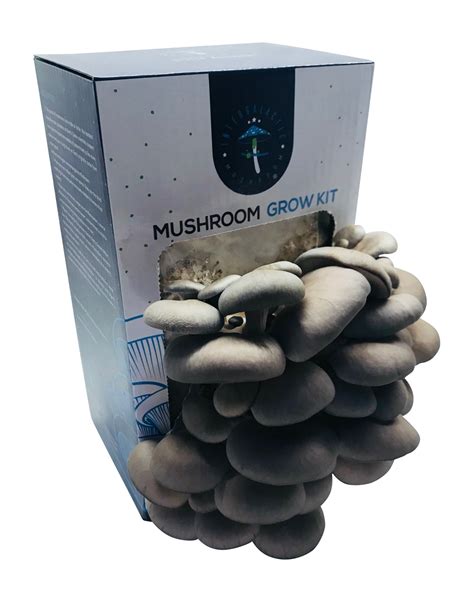 RGJ Gourmet Mushroom Kits