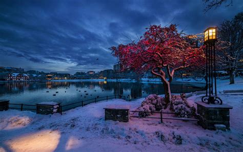 Norway Winter Wallpapers - Top Free Norway Winter Backgrounds - WallpaperAccess