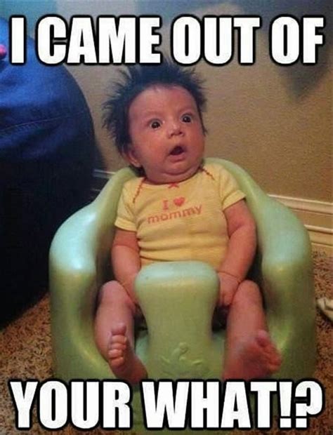 Funny Baby Meme Picture | Funny babies, Funny baby memes, Funny pictures