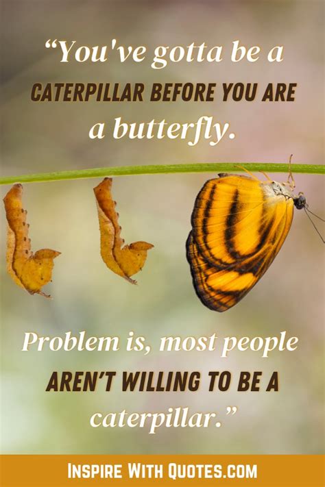 101+ Inspiring Butterfly Quotes about Change and Transformation