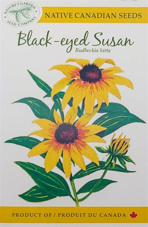 Black-eyed Susan Wildflower Seeds – Nature's Garden Seed Company