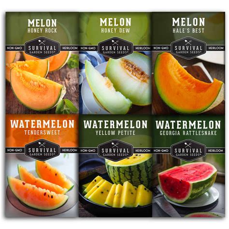 Watermelon Seeds - SurvivalGardenSeeds