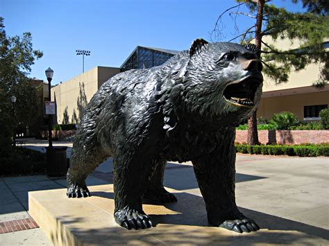 UCLA Bruin Statue | Bear statue, Statue, Campus visit