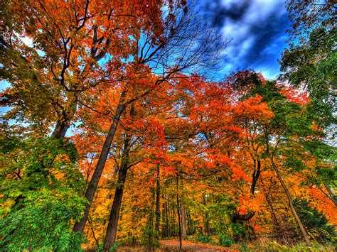 autumn falls... | a little park in mississauga; new lens: ED… | Flickr