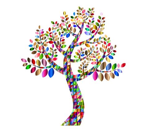 Genealogy Family Tree Family Tree Branch Colorful Family - Clip Art Library